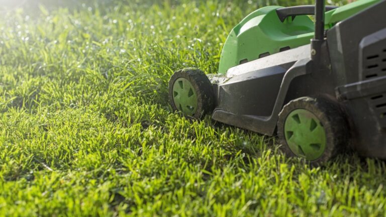 The Best Electric Lawn Mowers in 2024